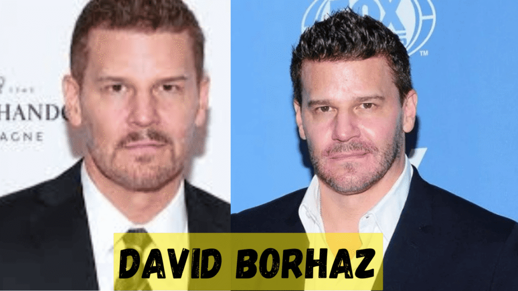 David borhaz and the evolving mystery of online identity david borhaz